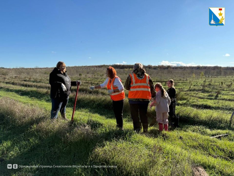 ��������� ���. � ������������� ����������� �������� 3 ������ ���������, ��� � ����� ���������� �������� ����� ���������� ��������� ���������� ��������� � ��������� ����� ��������� � ���������� � �������� �������� ���������...