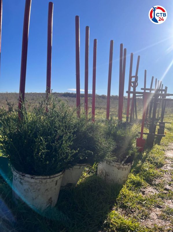 � ������������� ������������ �������� ��� ������ ������� ��������