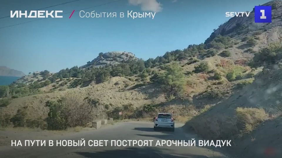 ����� ������� � ����� ������ �������� ��������� ���� ������� ������ 40 ������