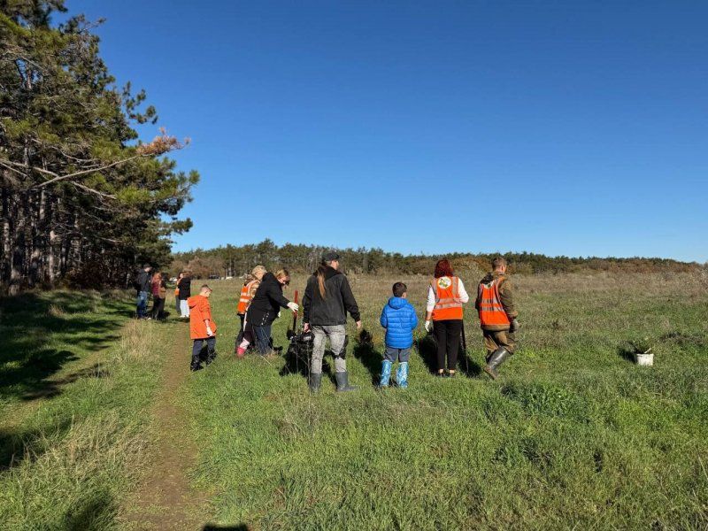 ������������� �������� ��� : � ������������� ����������� �� 6 �������� ��������� 3 ������ ����� �������� ��������, ��� � �����