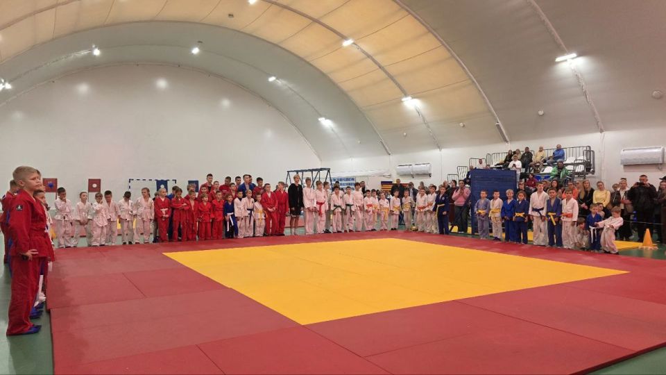 � ����������� ������������ ������� �� �������������� ���