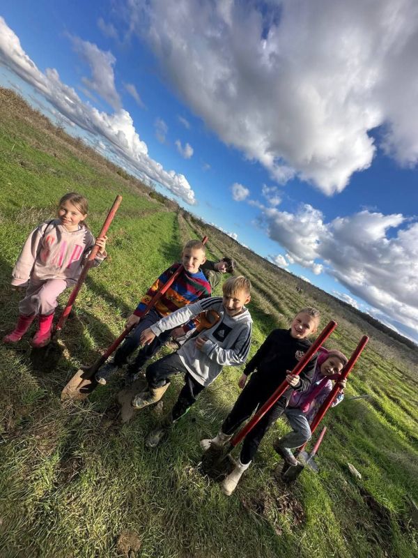 � ������������� ����������� �������� ��� ������ ������� �������� � ������ ���������� ������ �������