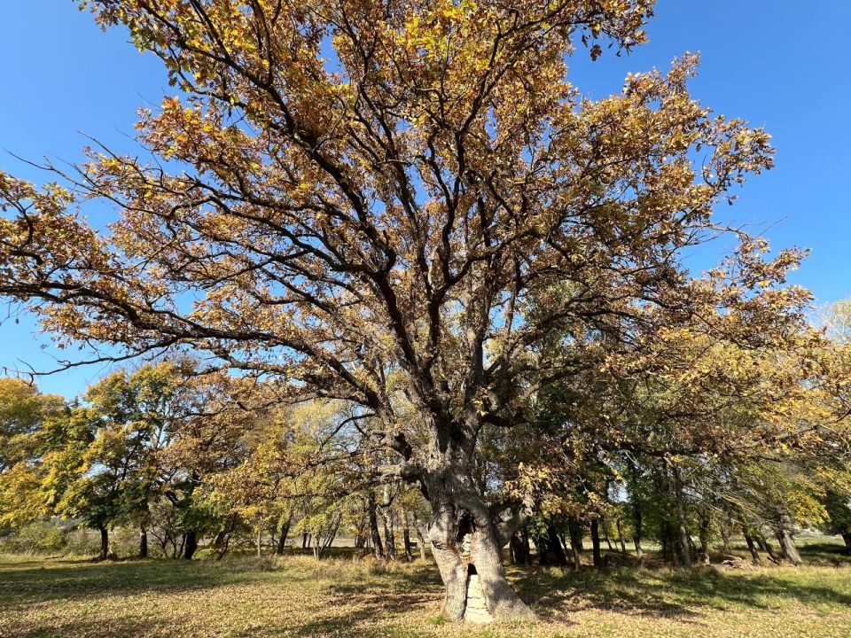 ������� ����, ������� �������������!