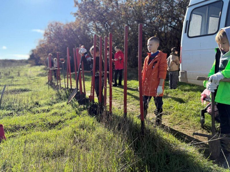 ������������� �������� ��� : � ������������� ����������� �� 6 �������� ��������� 3 ������ ����� �������� ��������, ��� � �����