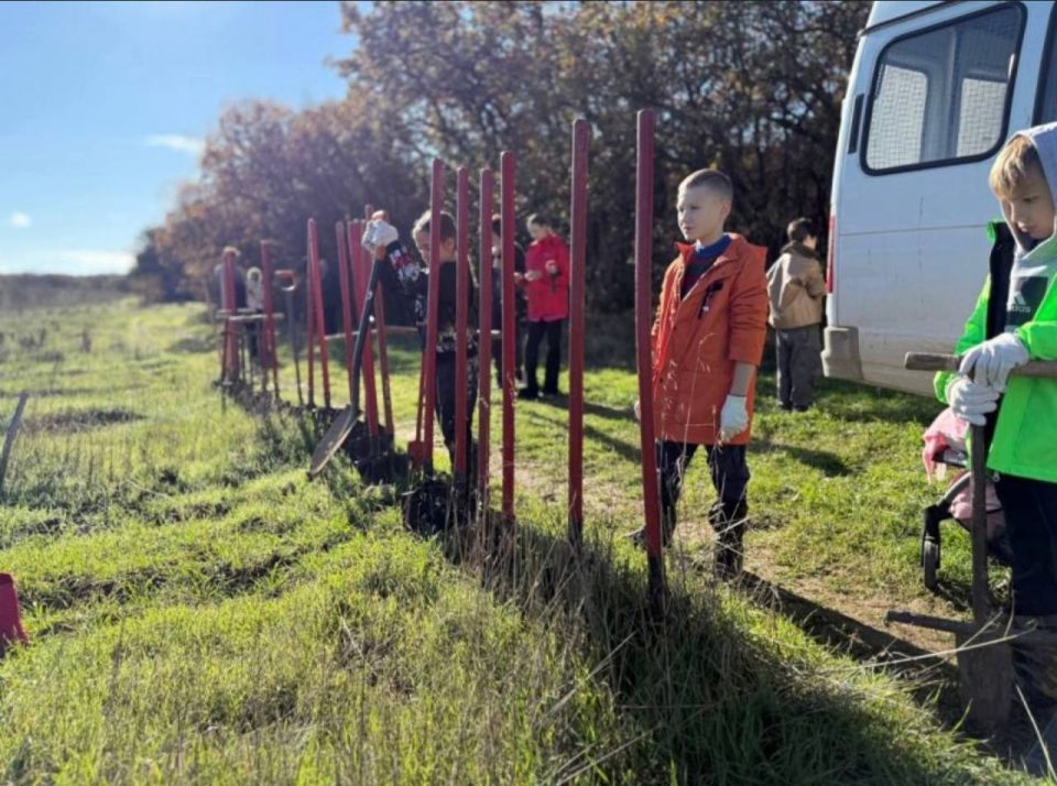 ��� ������ �������� ��������, ��� � ����� �������� � ������������� ����������� �����������