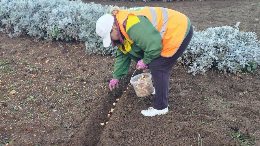 ����� 10 ����� ��������� ������� �� ������ � ����������� ������