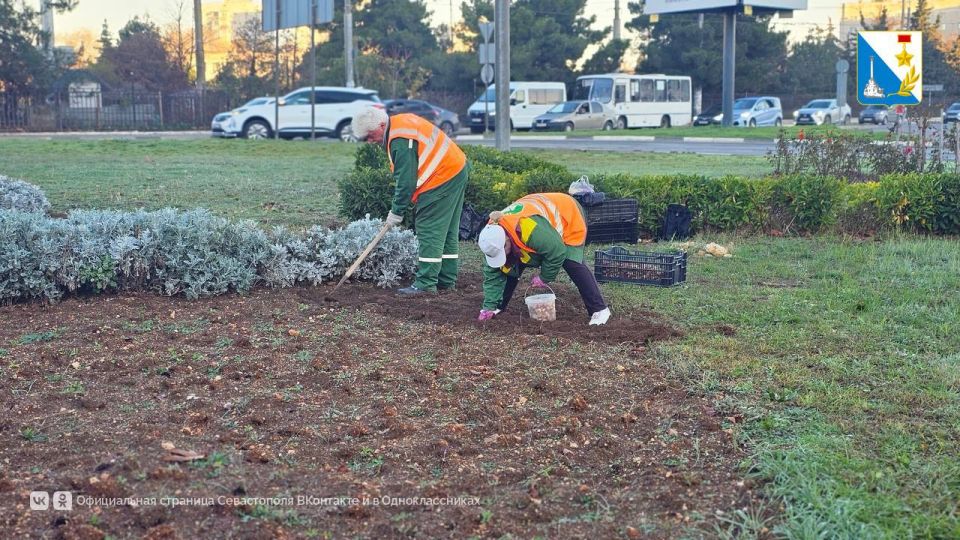 � ������ ������ �������� ����� 70 ����� ������� �������� ������