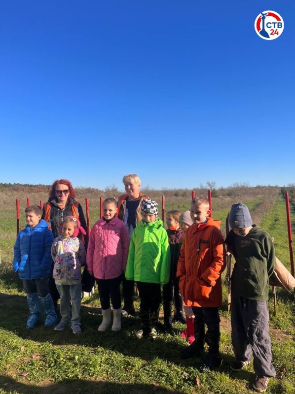 � ������������� ������������ �������� ��� ������ ������� ��������