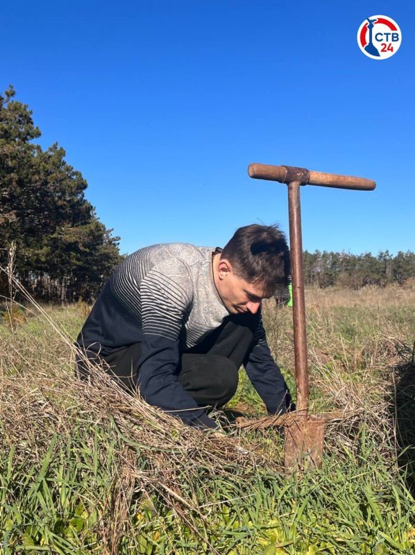 � ������������� ������������ �������� ��� ������ ������� ��������