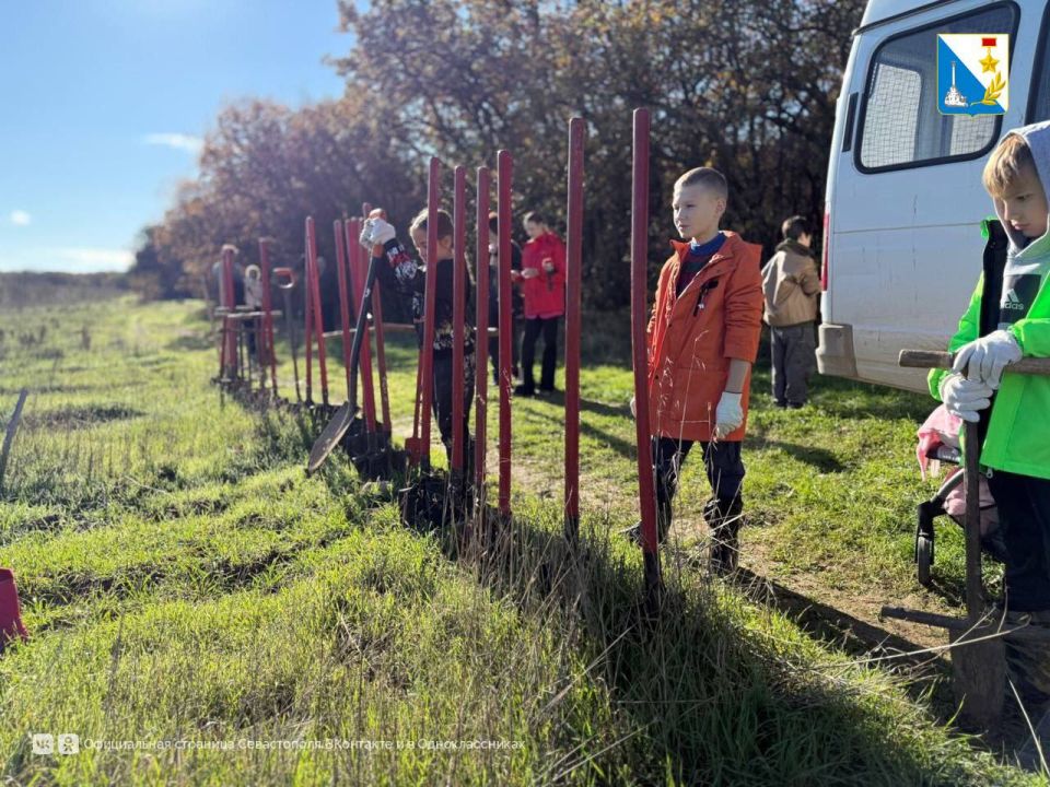 Сохраняем лес. В Мекензиевском лесничестве высадили 3 тысячи кипарисов, туй и сосен Сотрудники дирекции особо охраняемых природных территорий совместно с учениками школы «Развития и творчества» и местными жителями дополнили...