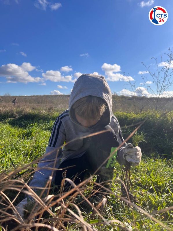 � ������������� ������������ �������� ��� ������ ������� ��������