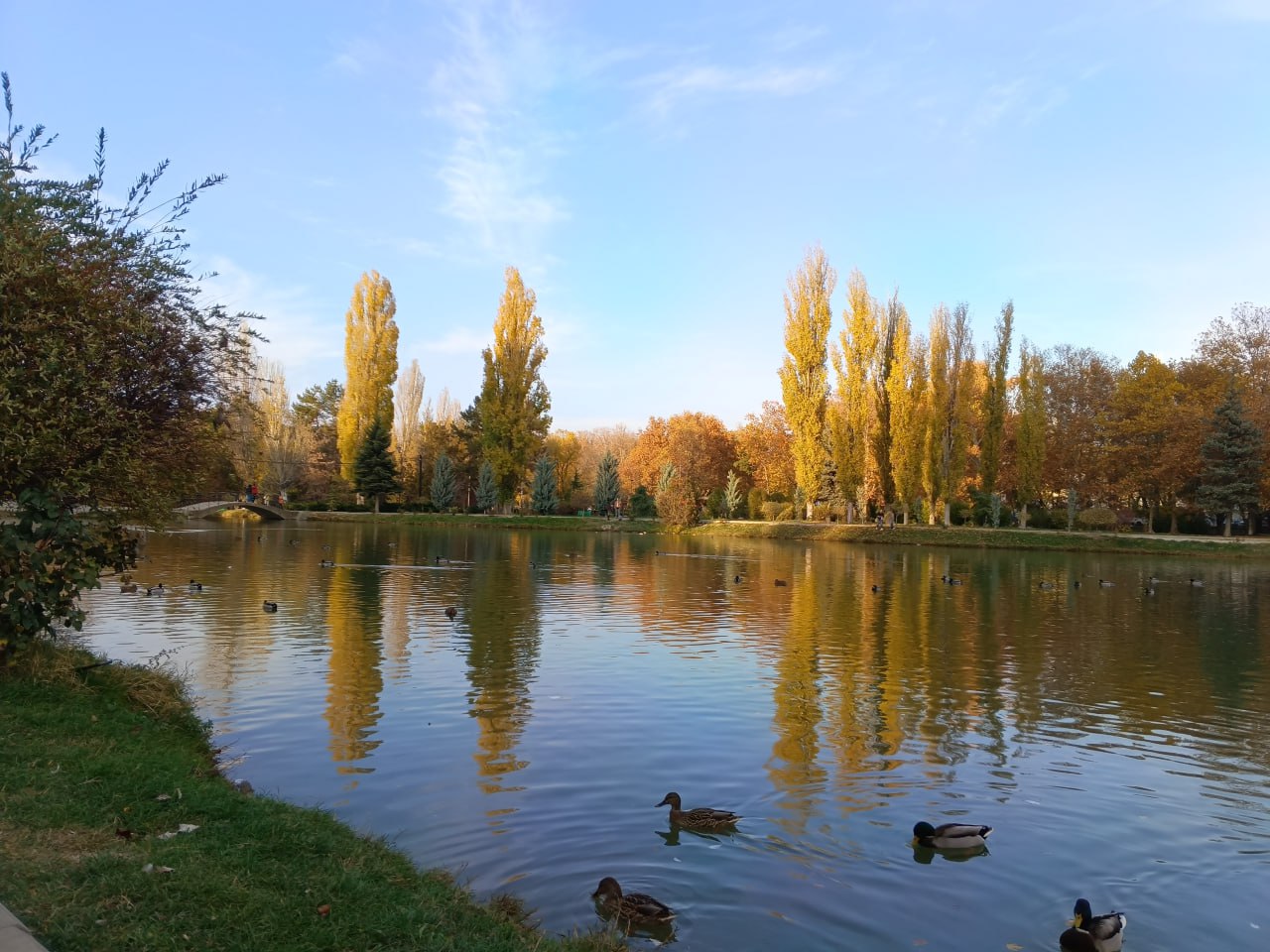 Прогноз погоды в Крыму на 14 ноября