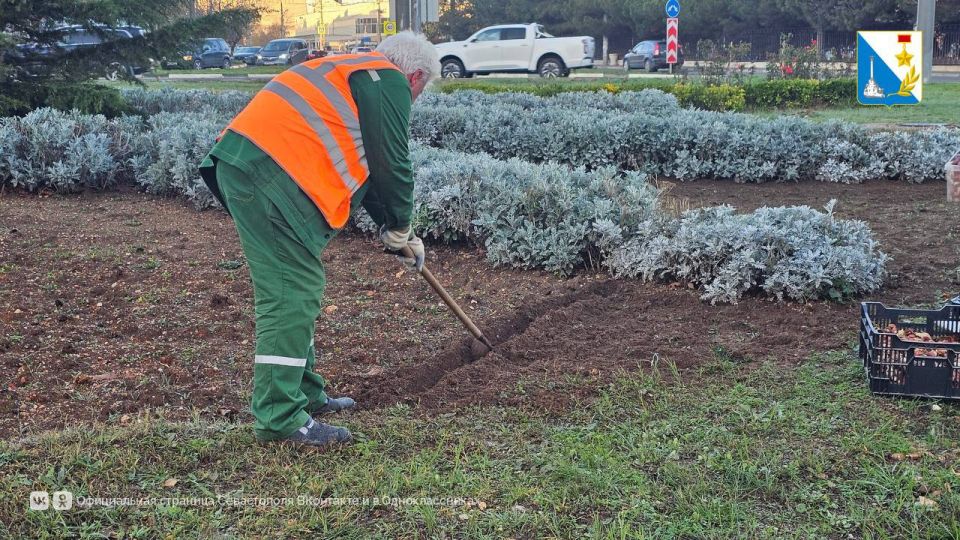 � ������ ������ �������� ����� 70 ����� ������� �������� ������