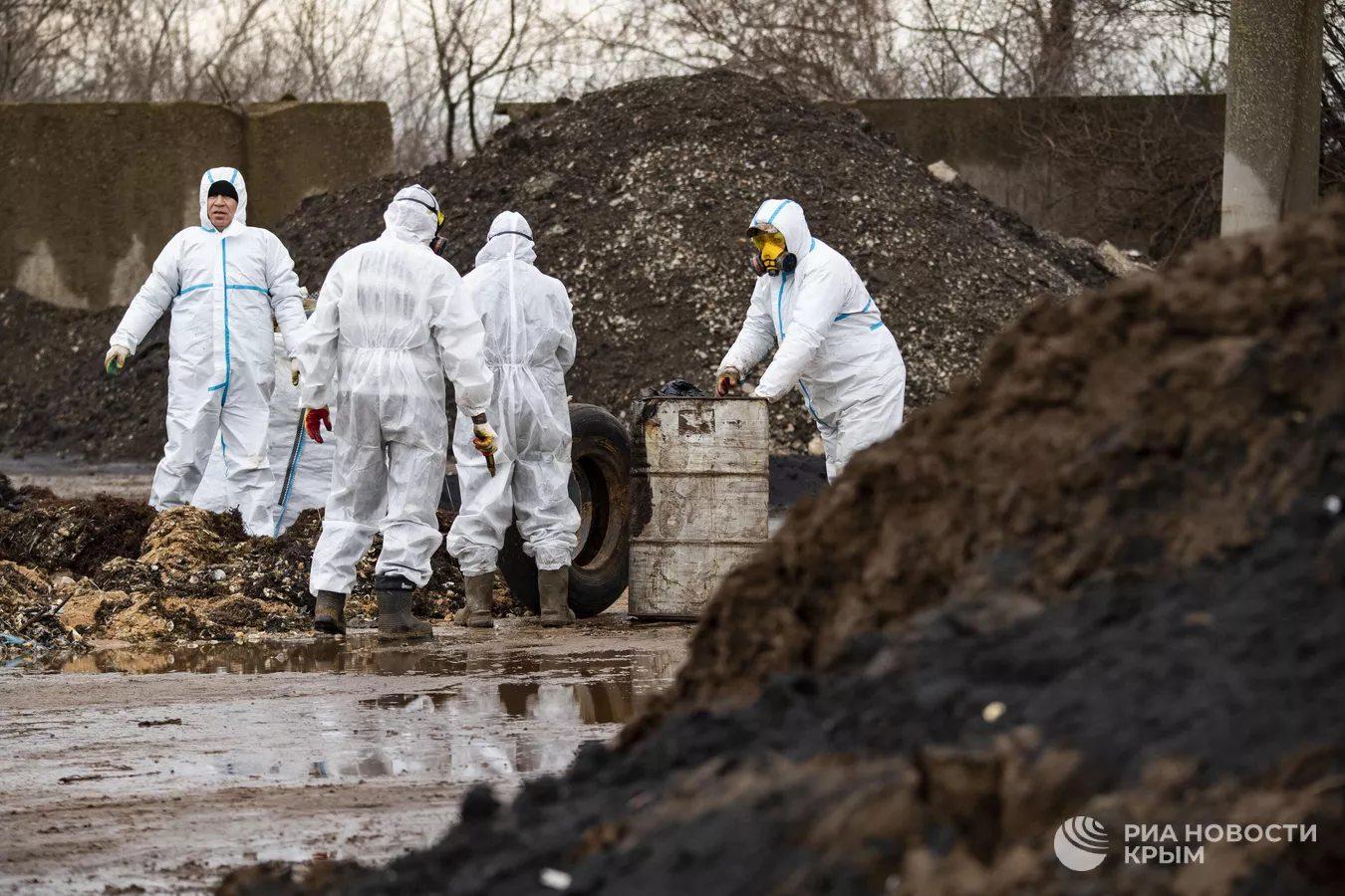 В Севастополе утилизировали весь загрязненный мазутом грунт