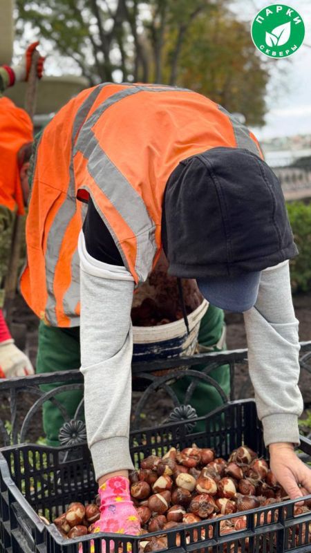 � ����������� ������������ ������ �� ���������� ��������� ����� � �����