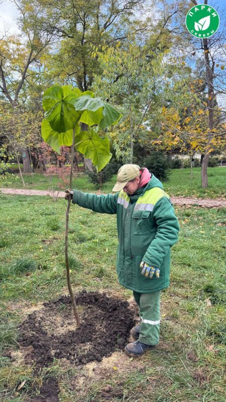 � ������ 60-����� ���� ����������� ������� ��������� ������� ��������� � �����