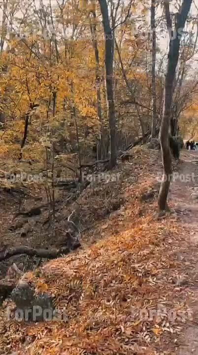 ���������� ������� �������� ����� ����� �����