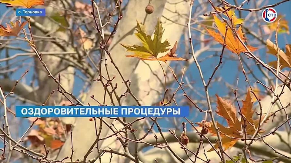 ���� �� �������-��������: ����������� �������� ������� ������� �������