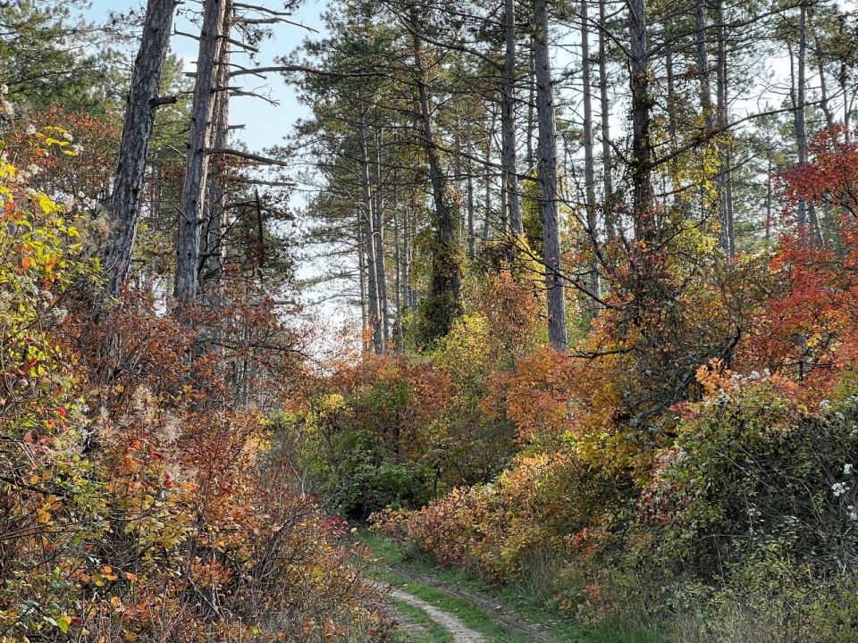 ������� ����, ������� �������������!