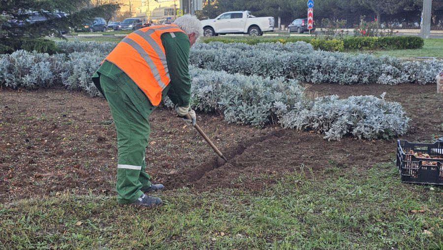 ����� 10 ����� ��������� ������� �� ������ � ����������� ������