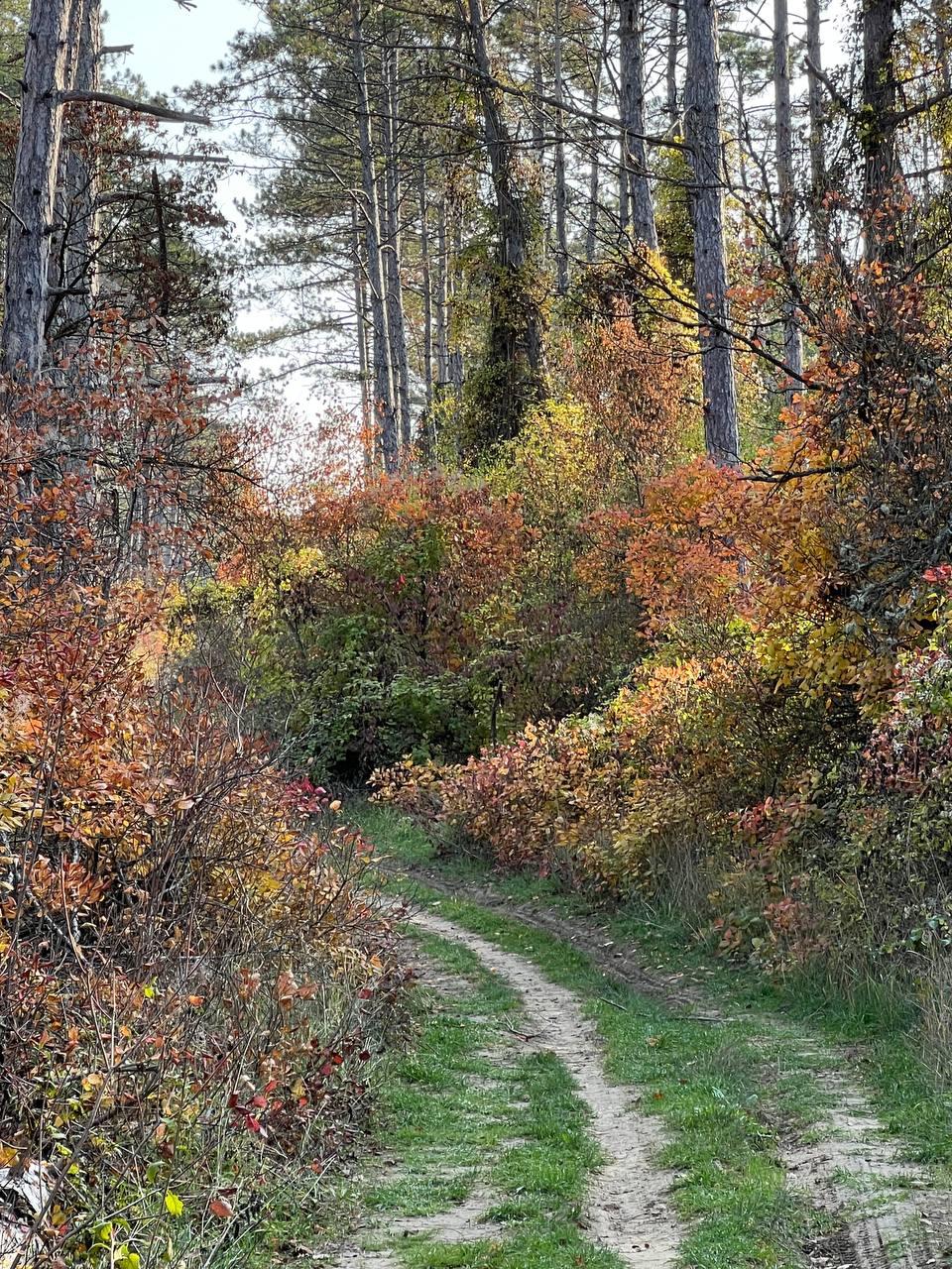Доброго утра, дорогие севастопольцы! Доброго утра, дорогие севастопольцы!