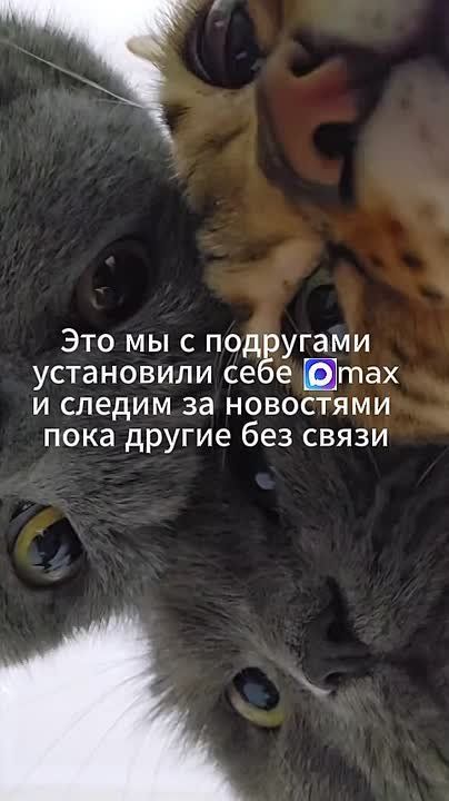 �� �������� �� �������������