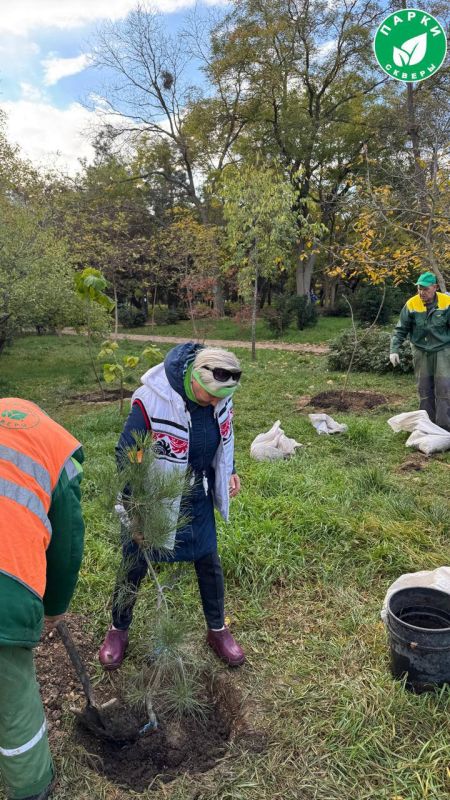 � ������ 60-����� ���� ����������� ������� ��������� ������� ��������� � �����