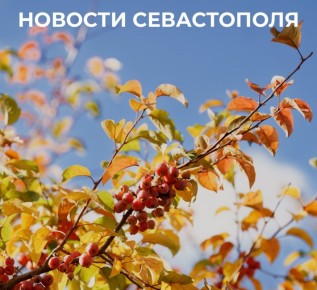 Михаил Развожаев: Итоги минувшего дня:. Севастопольские некоммерческие организации вошли в число победителей конкурса Президентского фонда культурных инициатив этого года