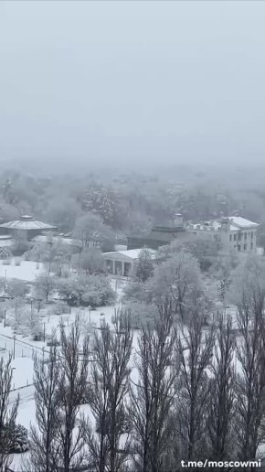 Первый снег выпал в Москве и Подмосковье