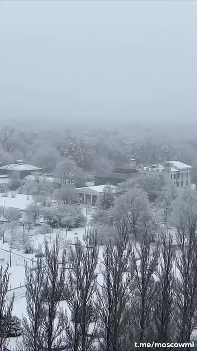 Первый снег выпал в Москве и Подмосковье