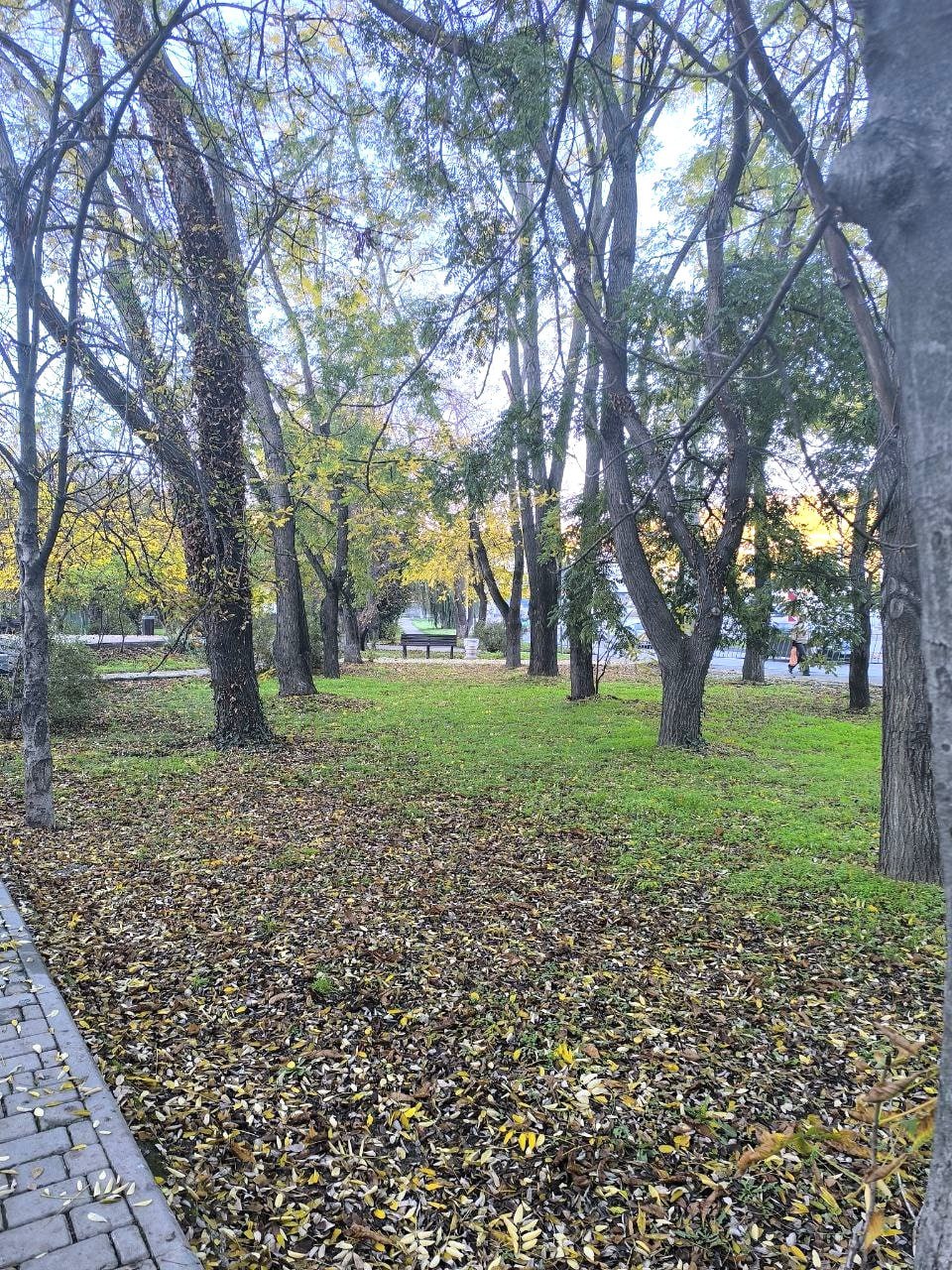 Всем доброго субботнего утра! Всем доброго субботнего утра!