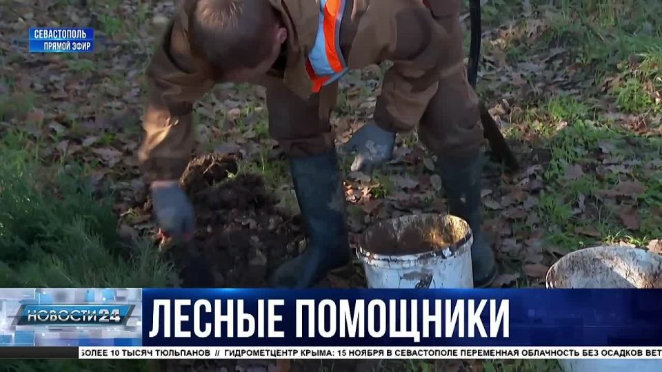 Научить детей любить природу и помочь экологии региона