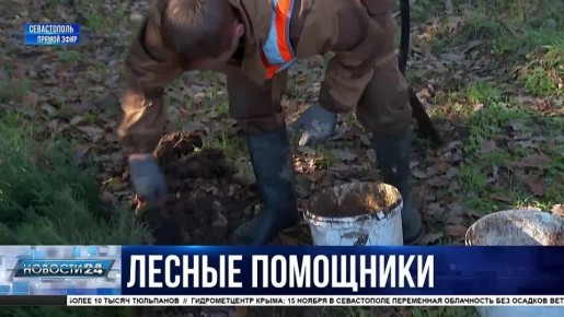 Научить детей любить природу и помочь экологии региона