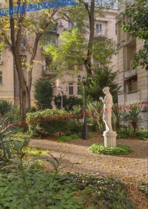 Доброе утро, Севастополь!. Сегодня весь день будет солнечно