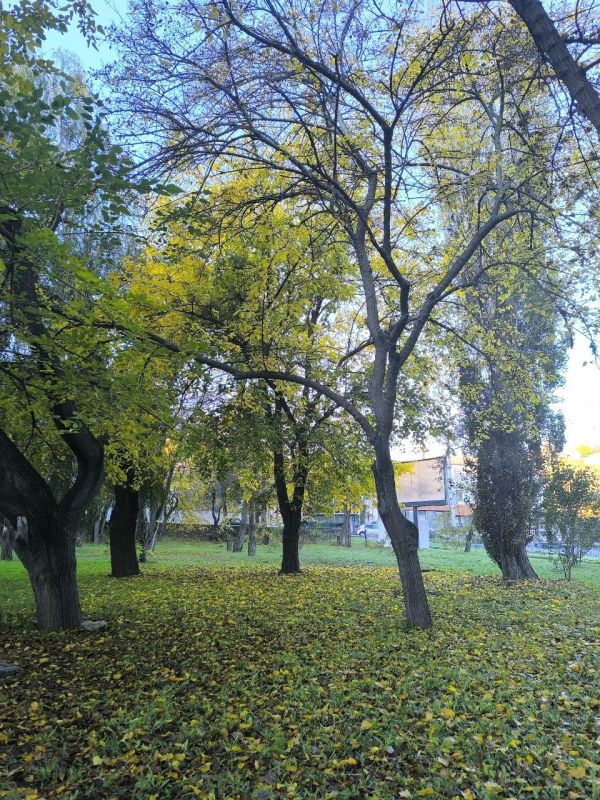 ���� ������� ���������� ����!