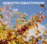 Михаил Развожаев: Итоги минувшего дня:. Севастопольские некоммерческие организации вошли в число победителей конкурса Президентского фонда культурных инициатив этого года