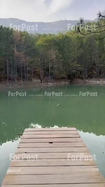 ������� ���������� �� ��������� ����� ���������� �����-������� �����������