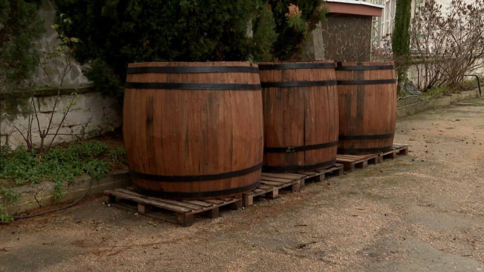 ������, 17 ������, � ����������� �� ���� ������ ������ ������