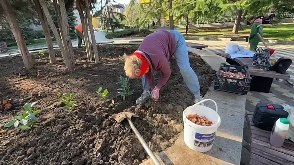 � ��������� ������� �������� ����������� ������� � �������