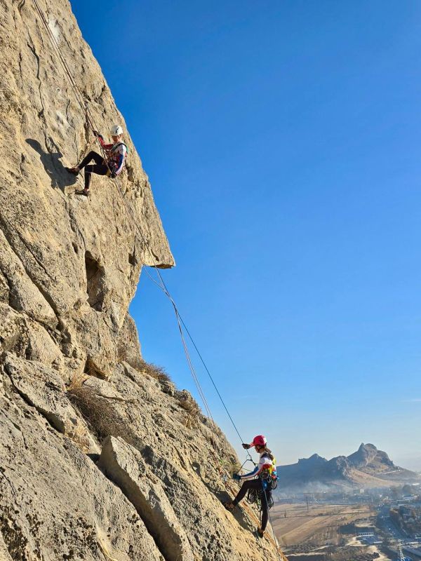 ��������������� ���������� ��������� 12 ������� �� ����� ���� �� ����������� �������