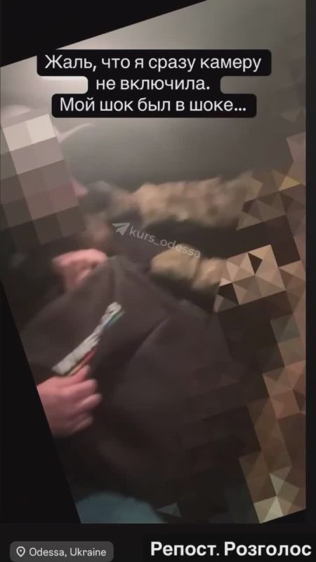 ������� � ������-����������: ����� �������, #�������� �����������!