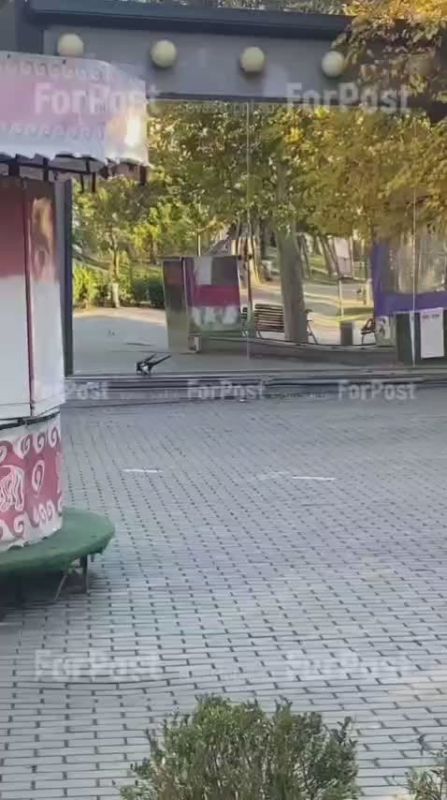Минутка городской природы: сорока ранним утром развлекается с зеркалом в парке имени Байды