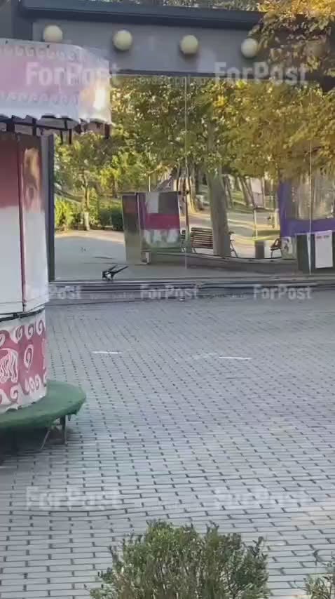 Минутка городской природы: сорока ранним утром развлекается с зеркалом в парке имени Байды