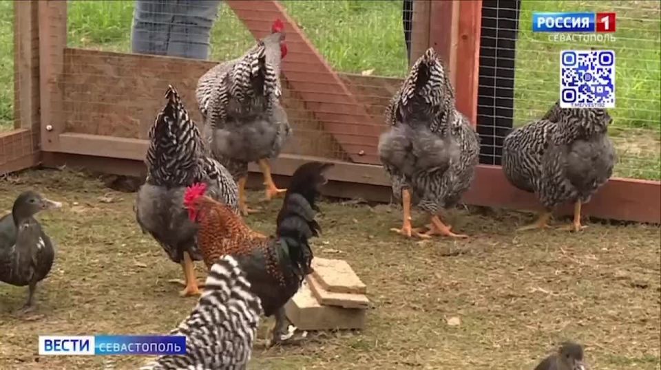 ���� ��� �������� ������ �������� �����