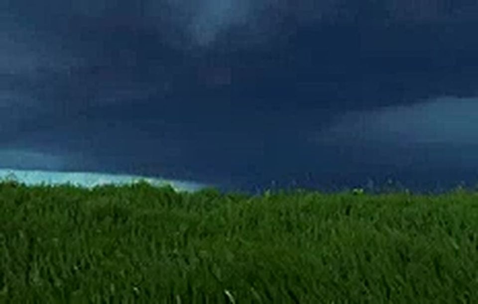 ������ � ����������� ��������� "�������� �������"