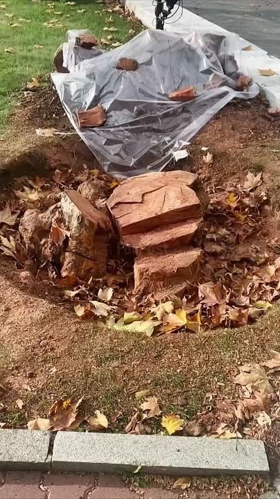 ��� ��� ������ ������������� ������� ������� �� ������� ��������