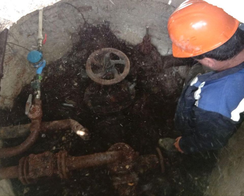 ���������: ������� �������. ��������-����������������� ������ �� ����� ������������� �������� �� ��.�������������, ��.�����������, ��.���������, ��.�������� �������, ��. ���������, ��.�������� ������������� ���� �����������...