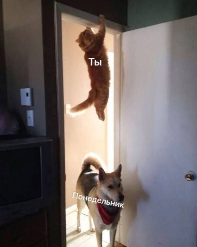 ������� ��������� ���� � 17 �� 23 ������