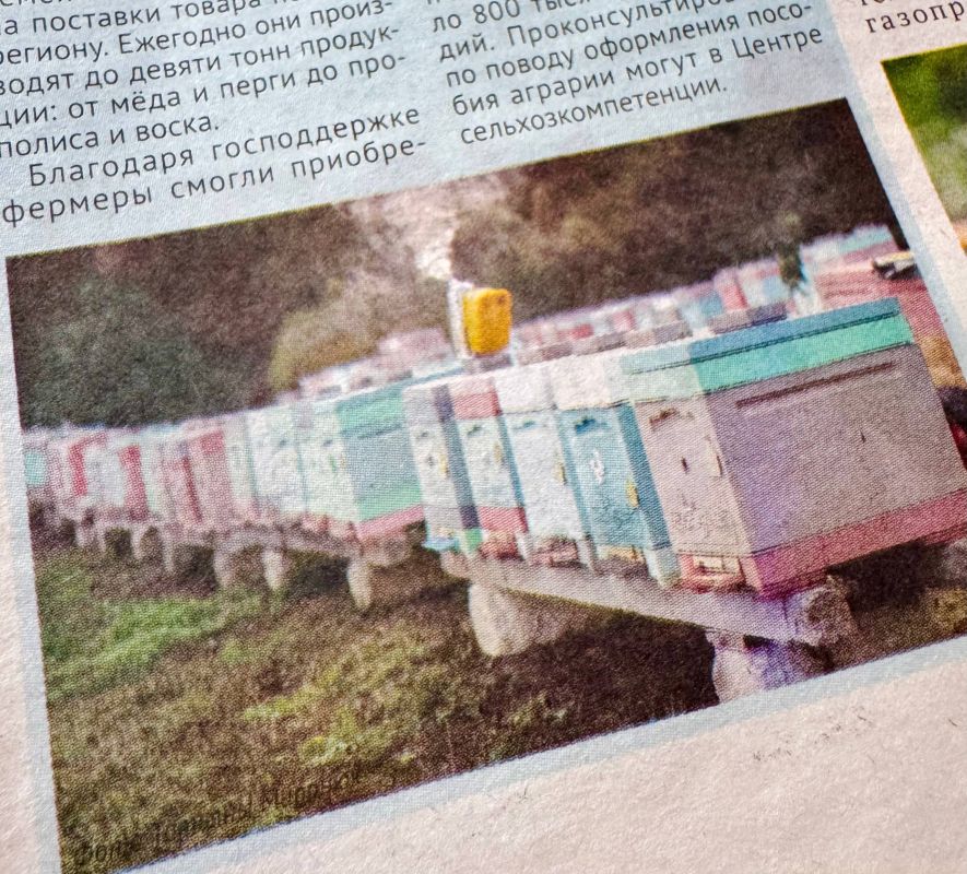 ������ ��� ���: ��������� ����������