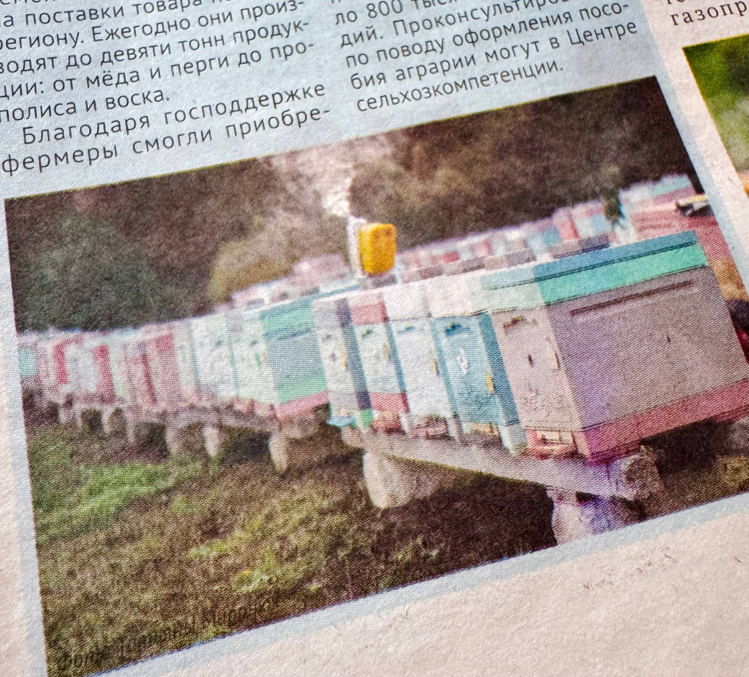 Жужжим для вас: Поддержка пчеловодов Жужжим для вас: Поддержка пчеловодов